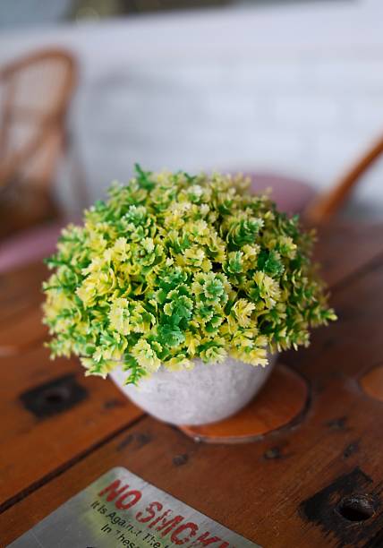 Vibrant green leaves in natural light, representing sustainability, eco-conscious living, and harmony with nature. This image evokes themes of environmental responsibility, renewable resources, and a green lifestyle. Ideal for use in eco-friendly product branding, nature-focused campaigns, or sustainability initiatives