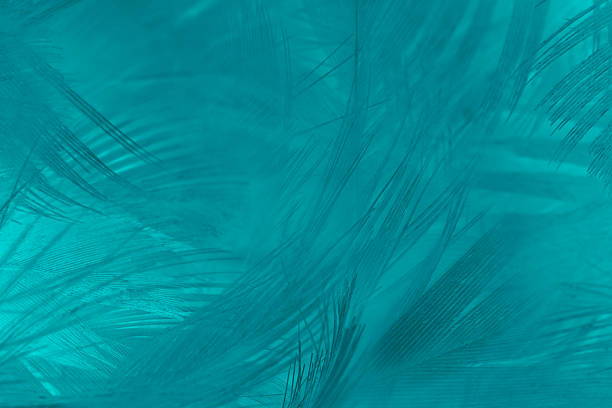 istock Beautiful watercolor green  blue feather pattern  texture background 2225484499