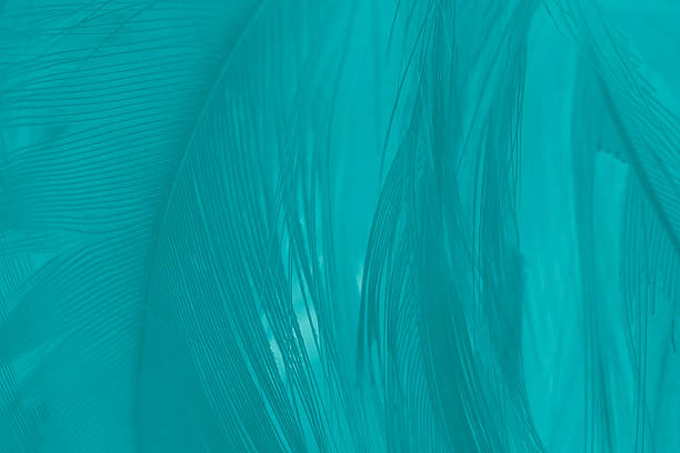 istock Beautiful watercolor green  blue feather pattern  texture background 2225484501