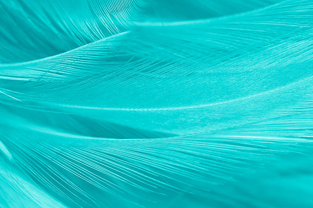 istock Beautiful watercolor green  blue feather pattern  texture background 2225484754