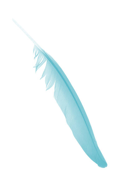 Feather quill and ink well.