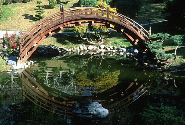 autumn pond