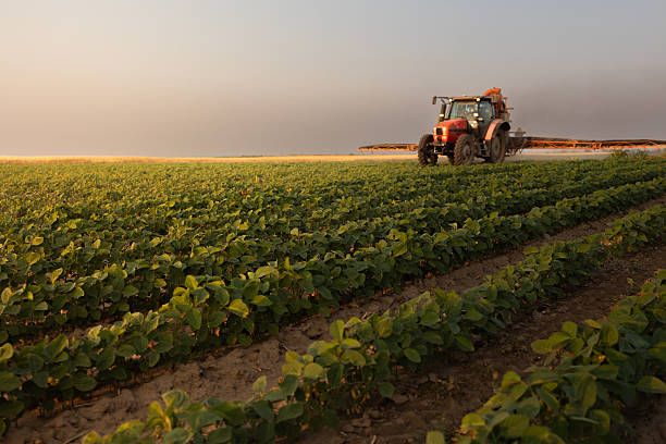 istock Tractor spraying soybean crops field 2225496114