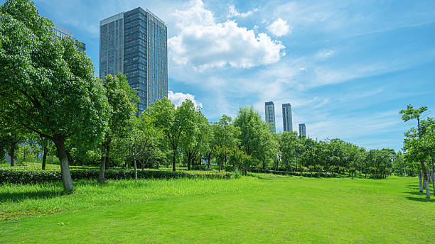 istock Green grass field in modern urban park 2225498278