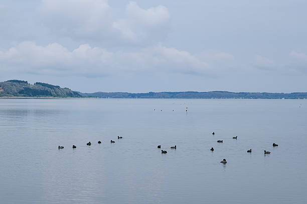 Lake Ogawara in Aomori Prefecture Lake Ogawara, the largest lake in Aomori Prefecture misawa japan stock pictures, royalty-free photos & images