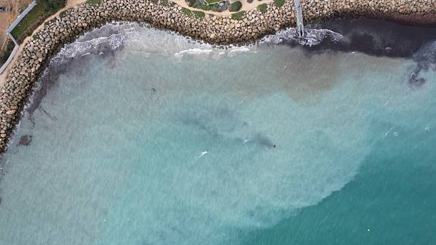istock The Omeo Wreck and Coogee Beach 2225501183