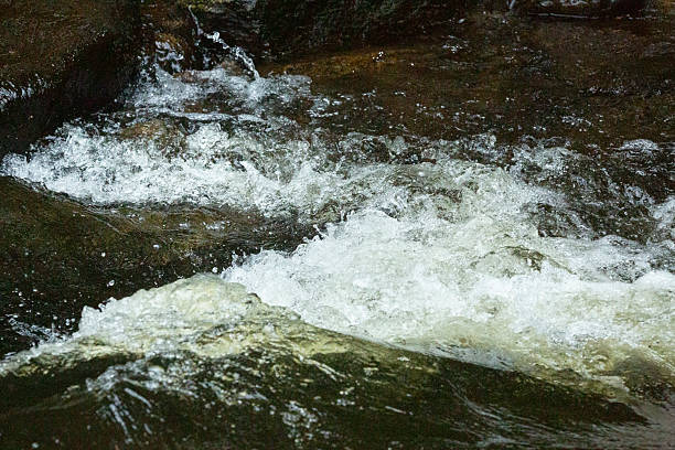 istock Churning turbulence in a bright rapids of the Sugar River. 2225501221
