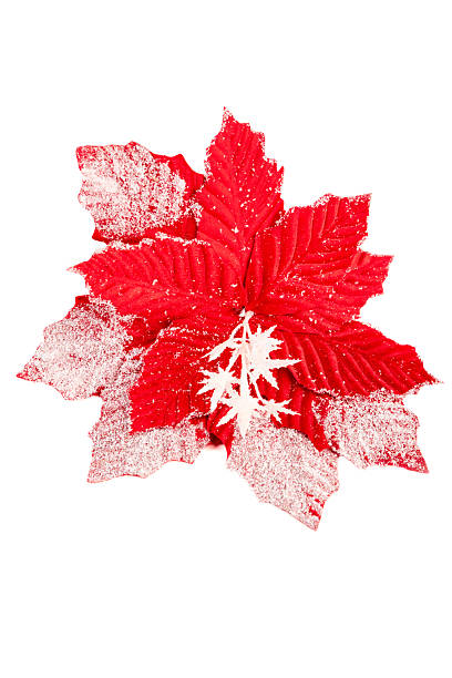 istock Artificial red poinsettia with white snowflake accents isolated on white background. A cheerful holiday floral for Christmas crafts and winter decor. 2225508409