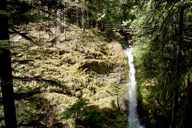 istock Small waterfall flowing under a small wooden bridge and down a sheer rock face 2225510166