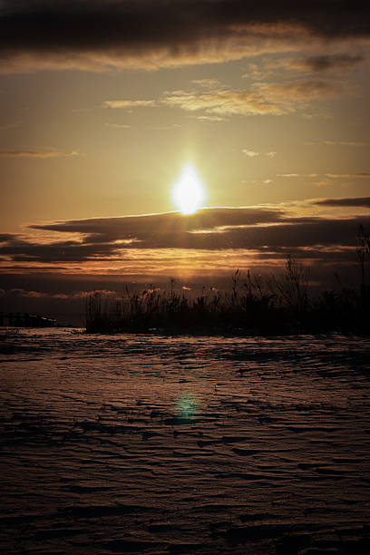 Winter Sunset Over Snow-Covered Field with Silhouetted Reeds