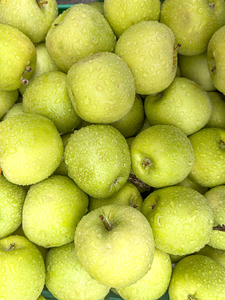 istock water drops on fresh, ripe green apple fruits 2225516229