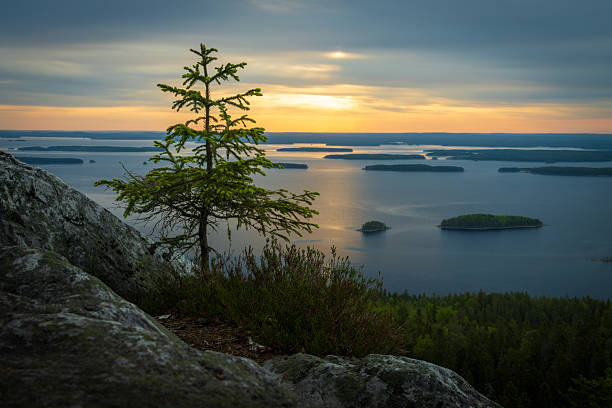 Sunrise in Koli National Park