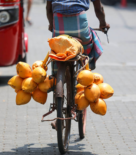 A man is riding a bicycle with a basket full of coconuts on his back. The coconuts are piled high and the man is pedaling down the street