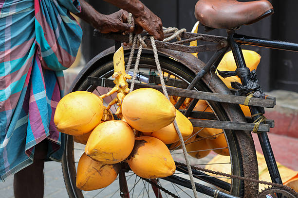 A man is riding a bicycle with a bunch of coconuts on it. The coconuts are hanging from the bike's rear rack