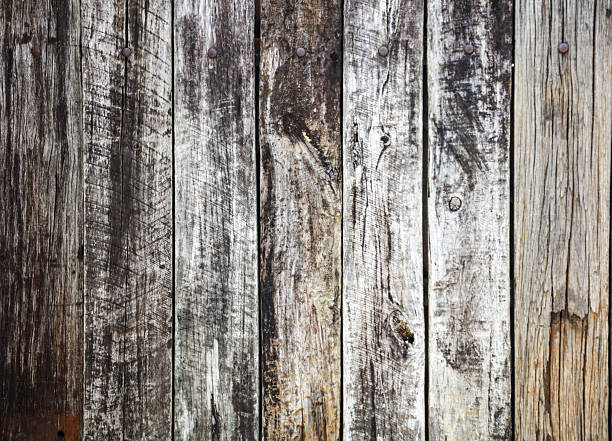 istock The image is a close up of a wooden surface with a grainy texture 2225520713