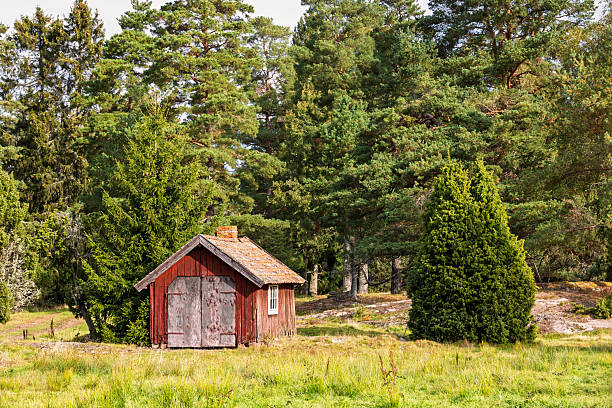 Old rural buildings in spring decorated with blooming dandelions in the light of the setting sun.
