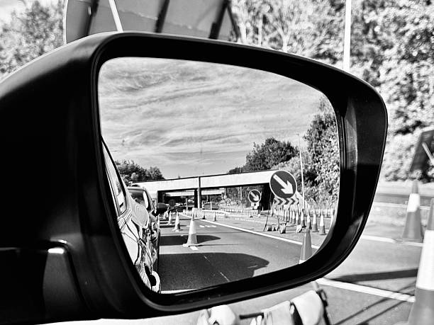 the lentil on field in summer time, you see the way from car mirror.