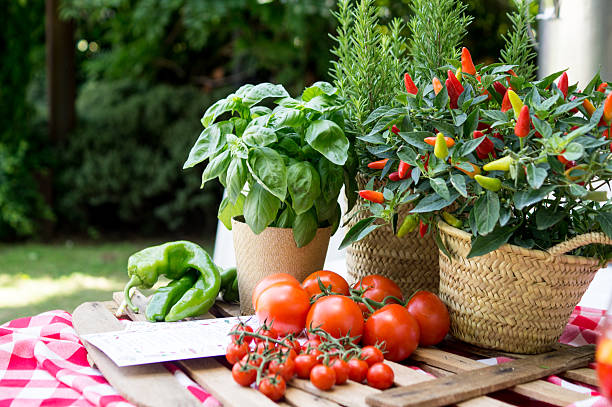 Outdoor kitchen decorated with healthy products