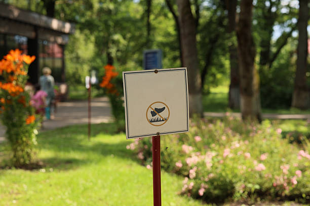 A sign in a beautiful park informs visitors of regulations amidst vibrant flowers and lush greenery