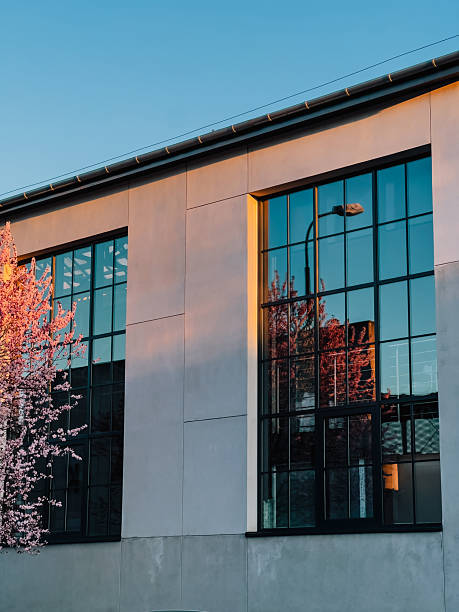Warm sunset light illuminating modern building facade with large windows reflecting blooming cherry tree and streetlight, creating vibrant and colorful scene. Windows mirroring blossoming cherry tree