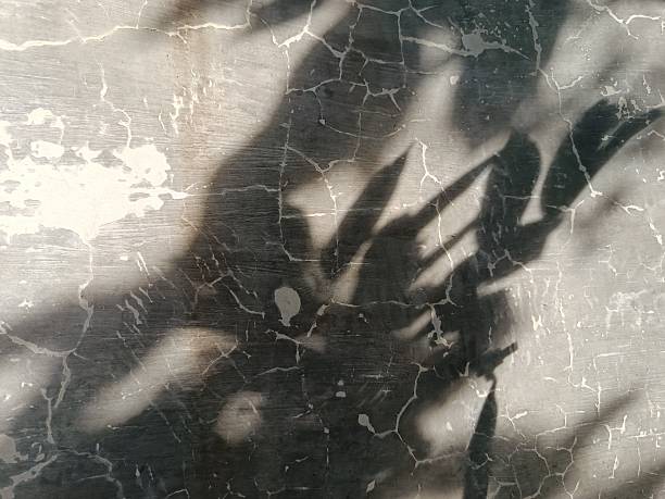 istock Shadows of leafy branches are cast against a cracked, textured wall, creating a delicate interplay of light and darkness. The contrast between the organic leaf patterns and the rugged surface adds a sense of natural mystery and artistic abstraction. 2225536561