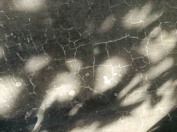 istock Shadows of leafy branches are cast against a cracked, textured wall, creating a delicate interplay of light and darkness. The contrast between the organic leaf patterns and the rugged surface adds a sense of natural mystery and artistic abstraction. 2225536594