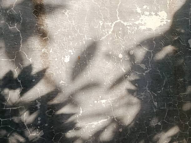 istock Shadows of leafy branches are cast against a cracked, textured wall, creating a delicate interplay of light and darkness. The contrast between the organic leaf patterns and the rugged surface adds a sense of natural mystery and artistic abstraction. 2225536688