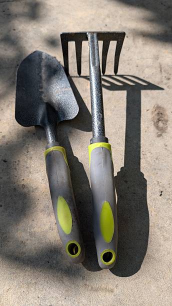 istock Essential Gardening Tools Trowel and Cultivator Designed for All Your Unique Garden Needs 2225539096