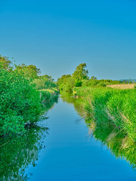 A serene natural scene in Denmark featuring a calm waterway bordered by lush greenery and a vibrant blue sky. The reflection of the green vegetation in the water adds to the tranquil ambiance.
