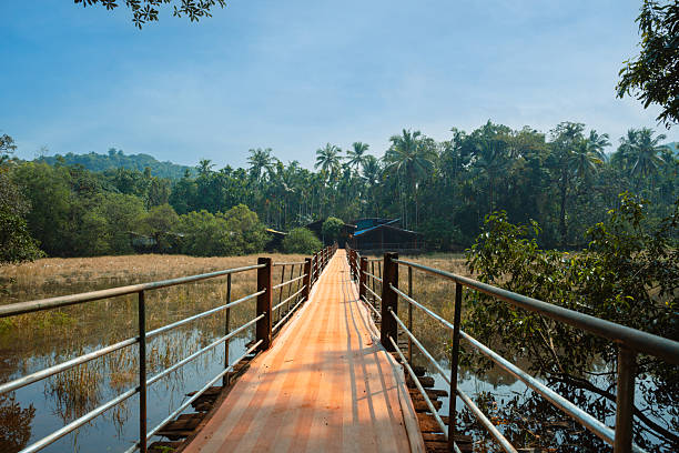 Rudimentary wooden bridge over a mountain river.