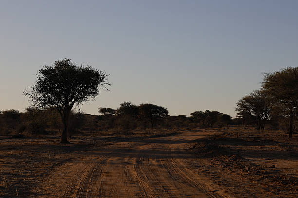 Landscape near Otjiwarongo Namibia