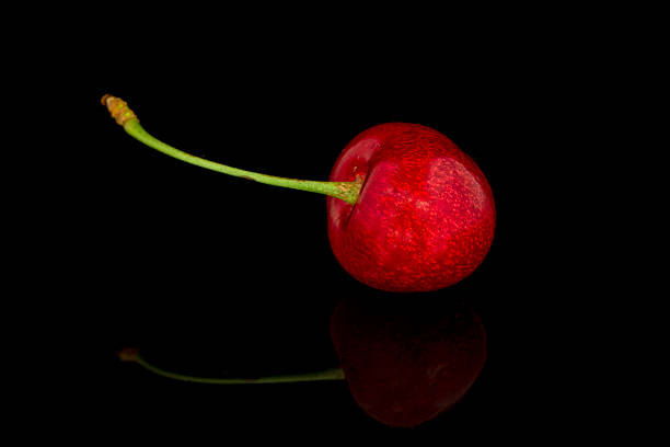 Prunus avium, commonly called wild cherry,sweet cherry or gean is a species of cherry, a flowering plant in the rose family, Rosaceae