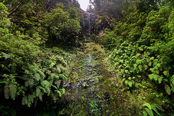 Air Terjun Ranamese Waterfall on Flores Island, East Nussa Tenggera, Indonesia