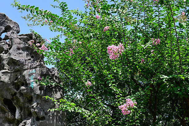 Suzhou – Lingering Garden (Liuyuan)