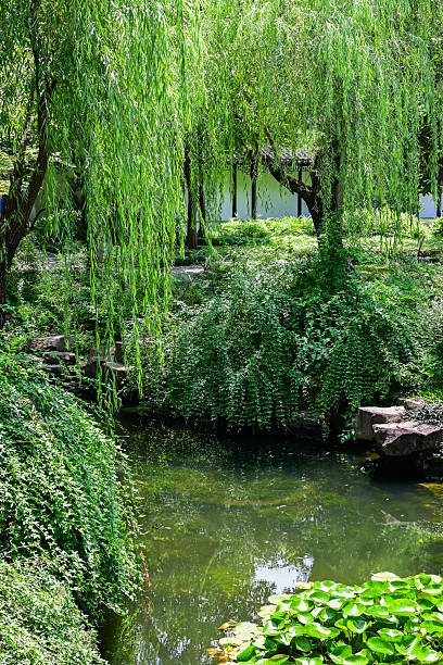 istock Suzhou – Lingering Garden (Liuyuan) 2225554204