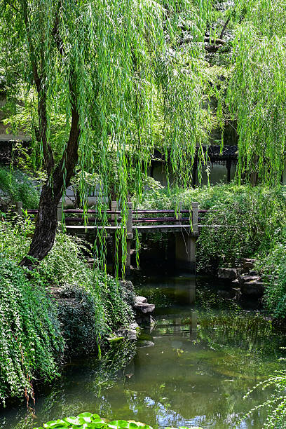 istock Suzhou – Lingering Garden (Liuyuan) 2225554205