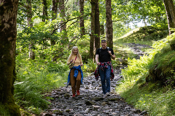 istock Beautiful Walks in Nature 2225562131