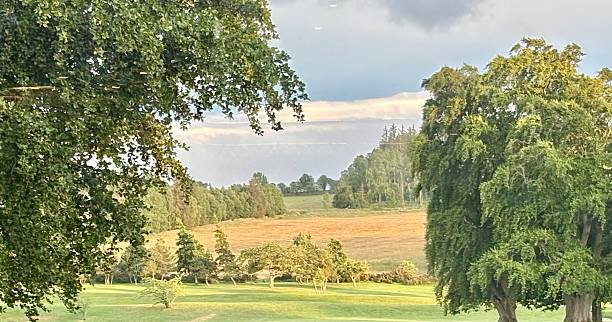 istock Scenic countryside landscape with rolling hills, open grassy fields, and tall, lush trees under a partly cloudy sky. A serene and natural rural setting ideal for nature and travel themes. 2225562385