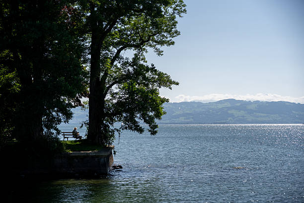 A lone person sits on a wooden bench nestled between two large trees at the edge of a serene lake. Soft sunlight filters through lush foliage, casting gentle shadows on the grass and water’s surface. In the distance, rolling hills and sailboats dot the horizon under a clear blue sky. This peaceful lakeside scene is ideal for themes of solitude, relaxation, mindfulness, senior lifestyle, travel, and nature retreats.