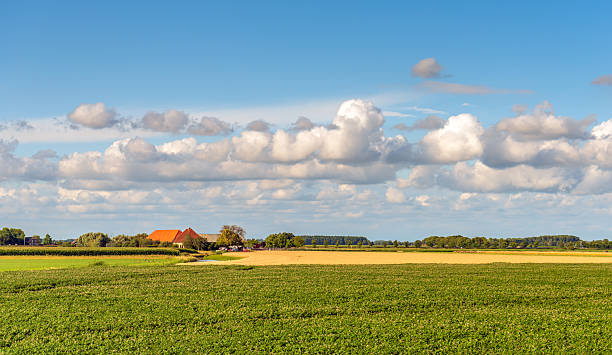 istock Agricultural landscape on a summer evening 2225568416