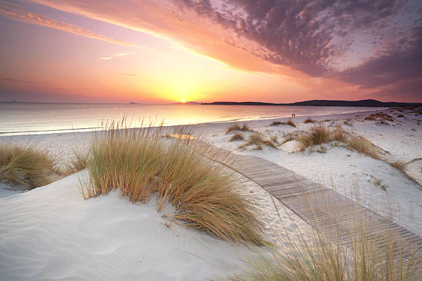 istock Tranquil Journey: Wooden Walkway to the Ocean 2225573782