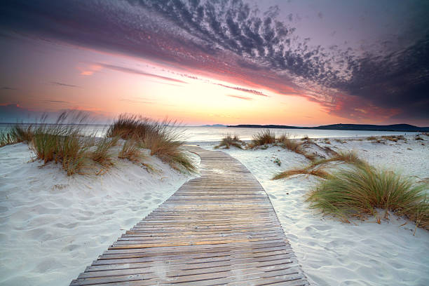 istock A Walk Through Dunes to the sea in magical sunset light 2225573965