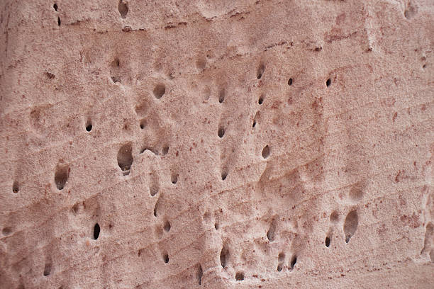 beautiful natural texture of salmon sandstone