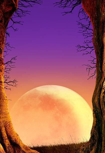 istock Full Moon Rising Over Hill Framed By Two Spooky Trees 2225583947