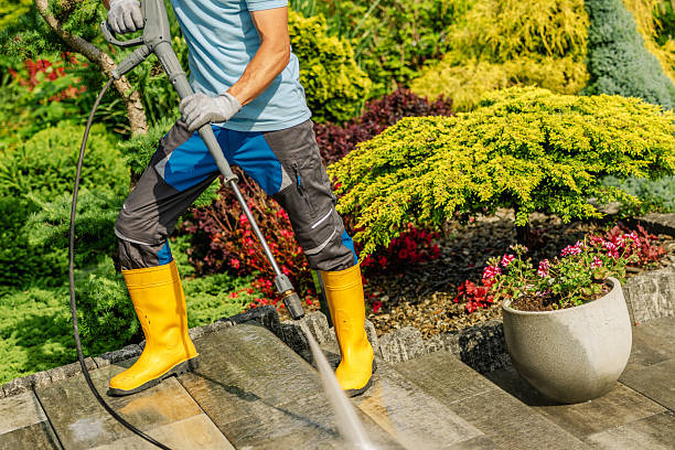 istock Cleaning Garden Pathways Using a Pressure Washer in Vibrant Landscaped Yard 2225584082