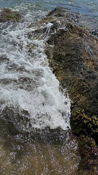 istock Dynamic Waves Crashing on Mossy Coastal Rocks 2225584846