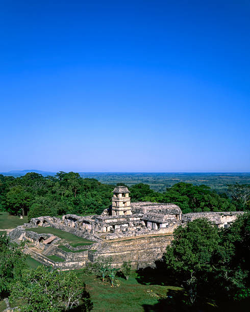 istock The Palace in Palenque, Chiapas 2225584904