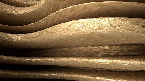 Luxury curved abstract background drawn with natural woodgrain curves High quality 3d illustration