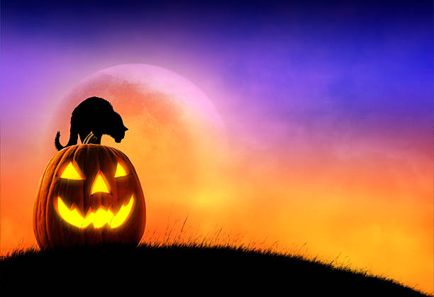 A black cat arching its back stands on top of an illuminated jack o'lantern that sits on a small hill that is silhouetted against an orange Halloween sky.