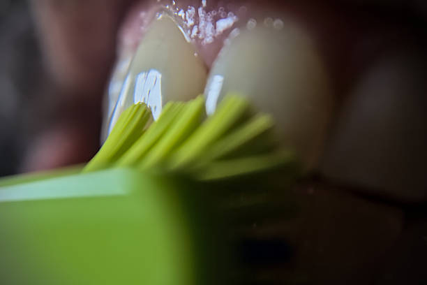 Close-up Of Young Woman Cleaning Tongue With Cleaner